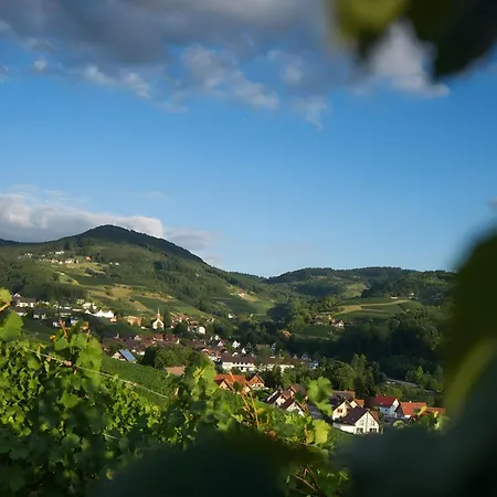 Apartamento Kupferschmid *